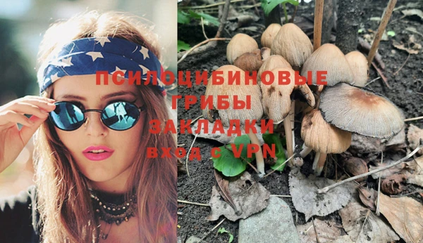 МДПВ Алзамай