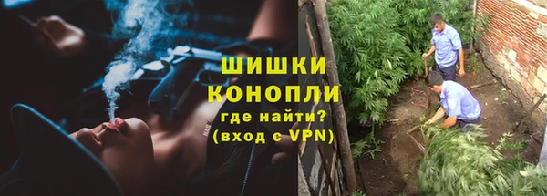 PSILOCYBIN Алексеевка